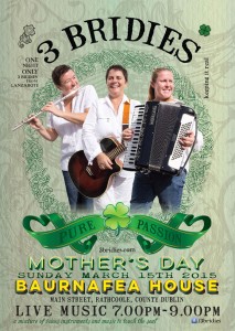 3b-poster-2015-dublin-15-march